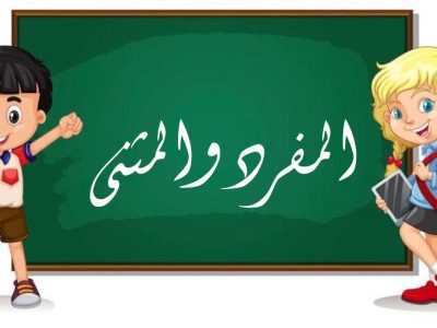 المفرد والمثنى